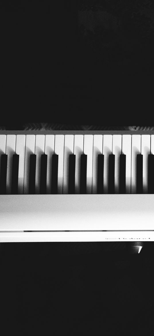 synthesizer, keys, music, black and white