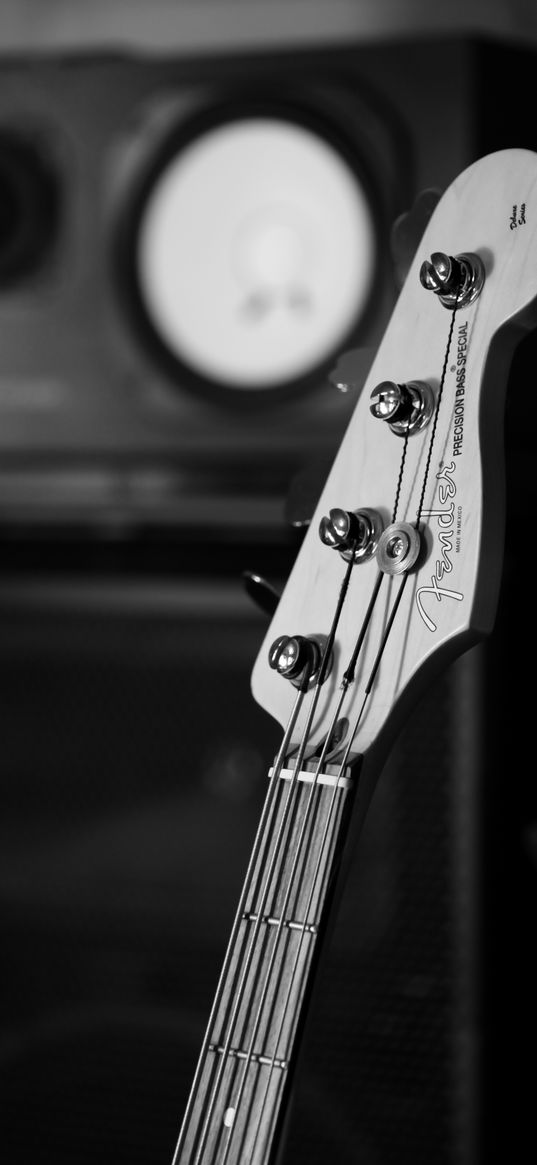 bass guitar, guitar, fretboard, strings, music, black and white