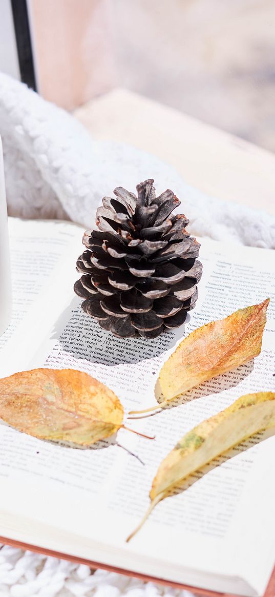 book, cones, leaves, herbarium, aesthetics