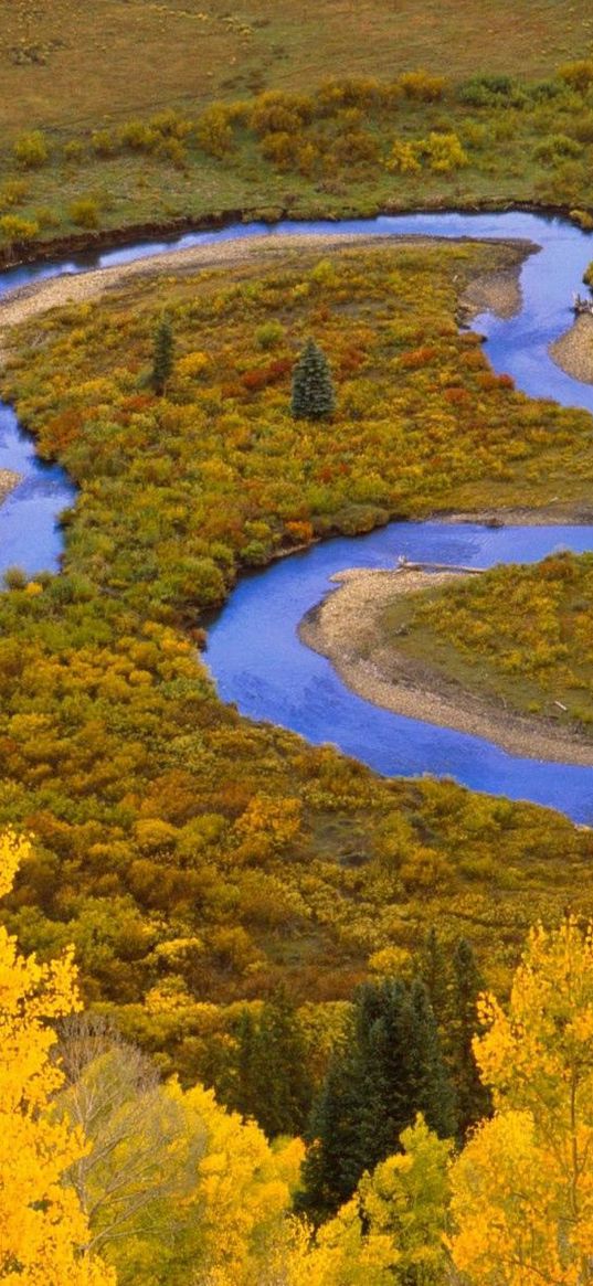 winding creek, gunnison national forest, colorado, loop, river, trees, wood, autumn, bends