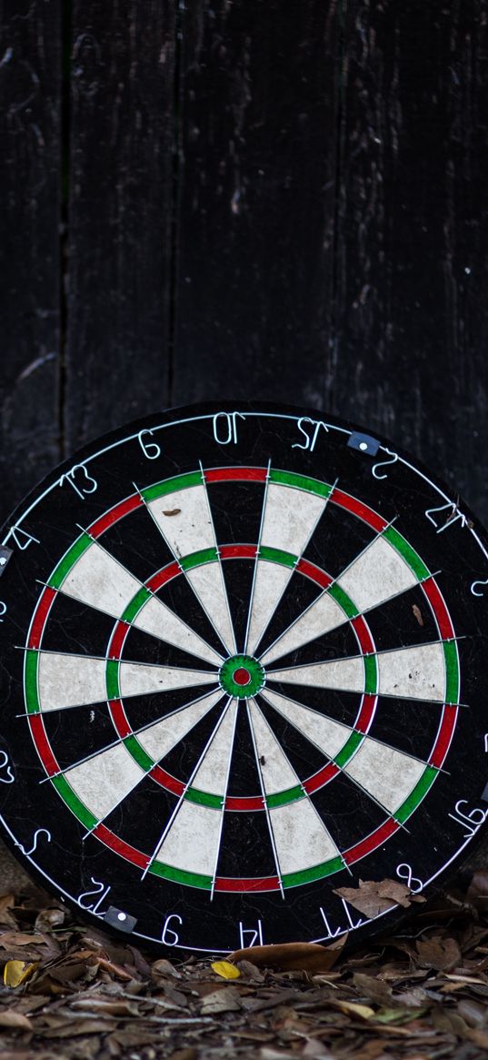 darts, board, leaves