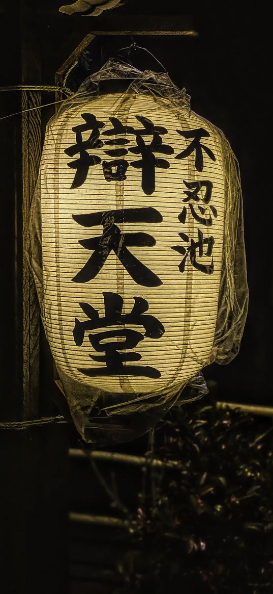 chinese lantern, flashlight, light, hieroglyphs, words