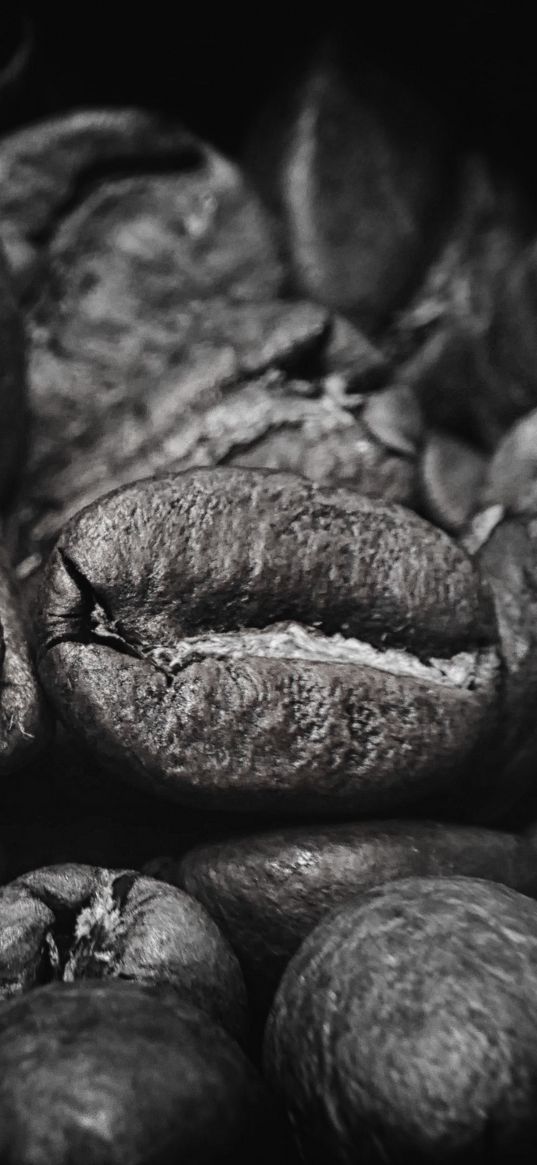 coffee beans, beans, coffee, black and white