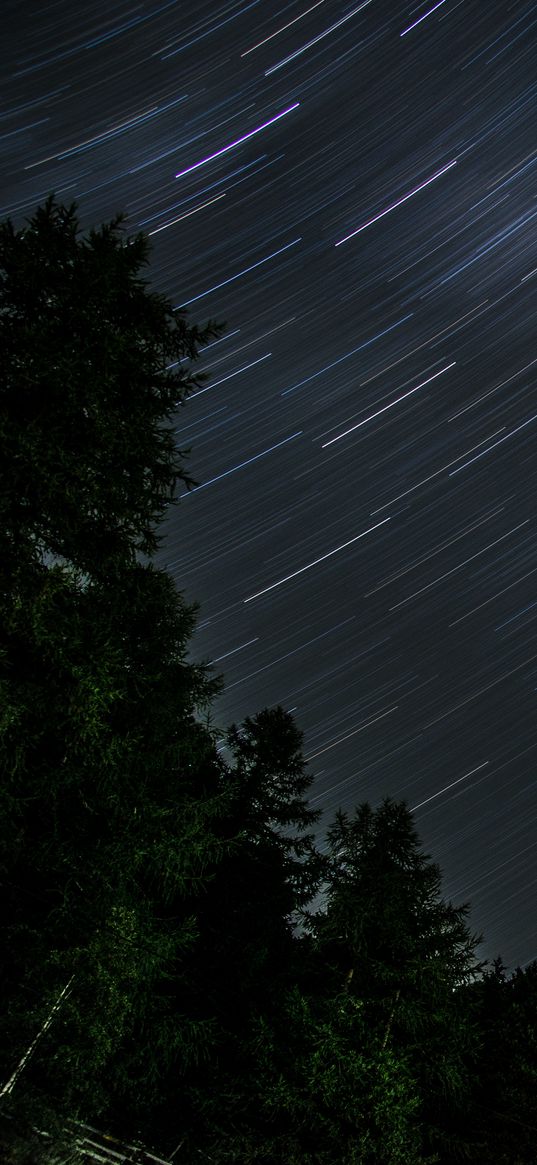 trees, stars, rotation, long exposure, dark