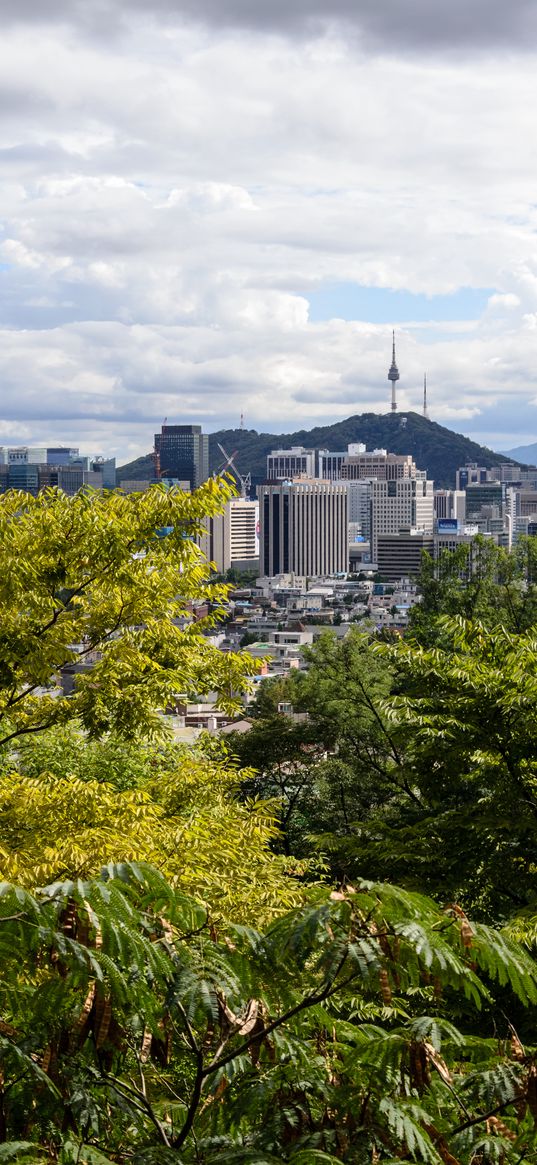 city, buildings, architecture, trees, cityscape, aerial view