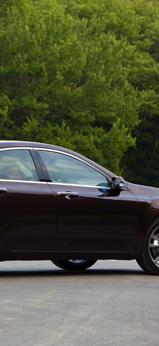 acura, tl, 2008, burgundy, side view, style, mangers, trees, asphalt