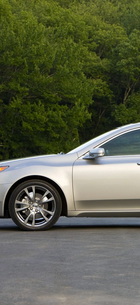 acura, tl, 2008, silver metallic, side view, style, cars, trees, asphalt