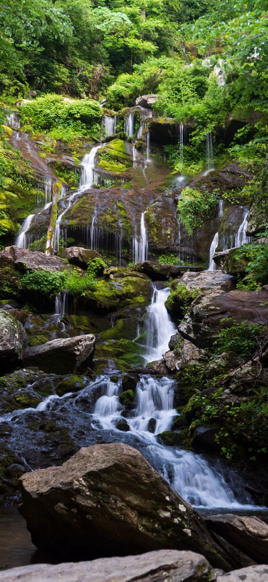 waterfall, water, cascade, stones, trees, nature