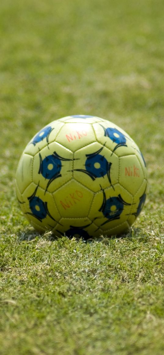 soccer ball, ball, football, grass