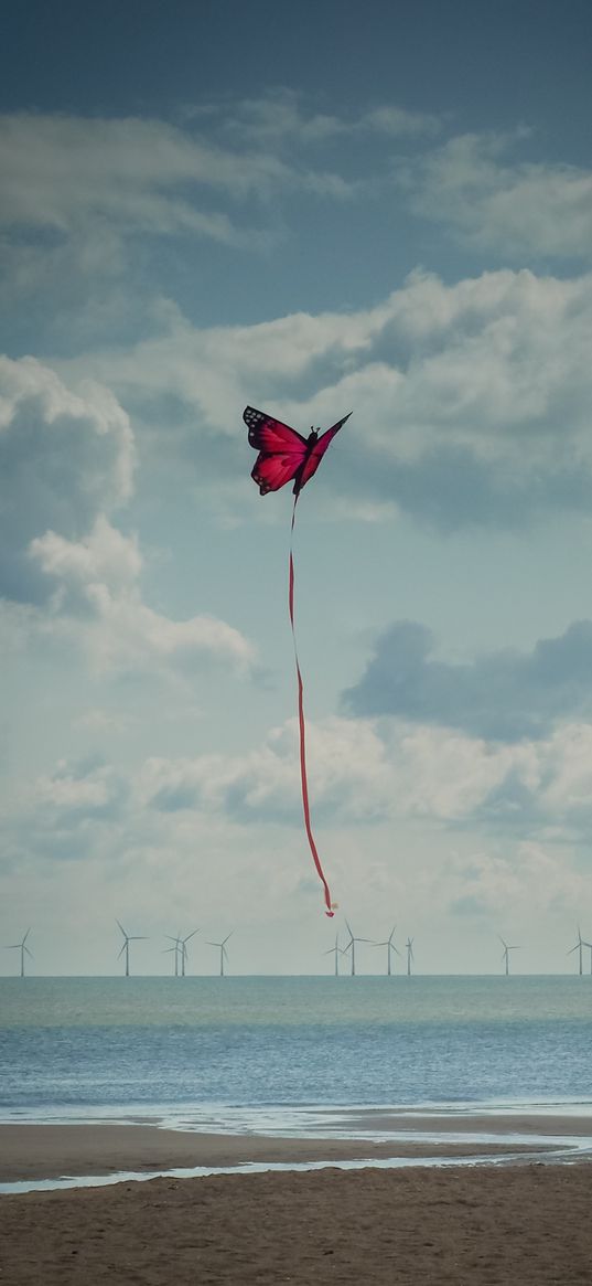 beach, sea, kite, butterfly, flight