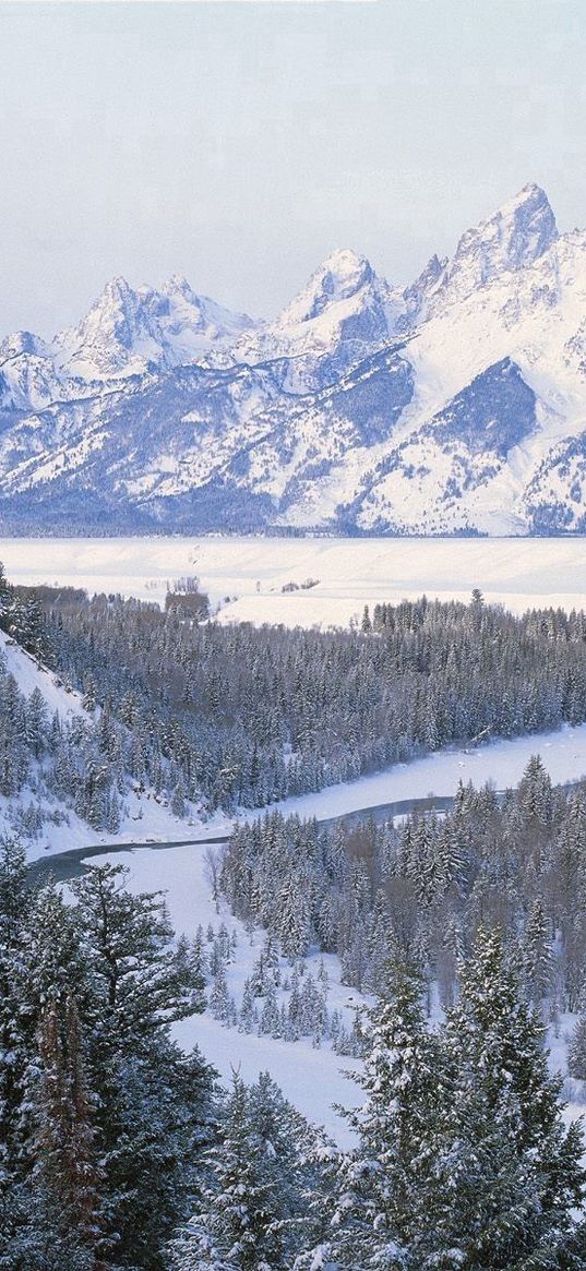 winter, river, mountains, landscape, fir-trees