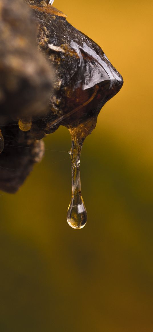 resin, drops, macro