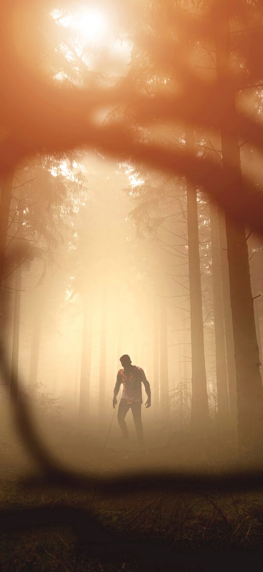 zombie, silhouette, forest, trees, apocalypse, twilight