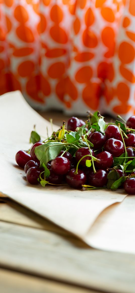 cherry, berries, leaves, parchment, macro