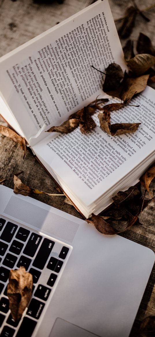 book, laptop, leaves, dry, autumn, aesthetics