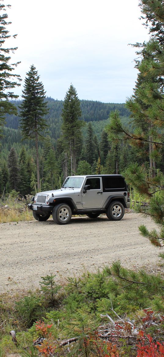 jeep, car, gray, road, forest