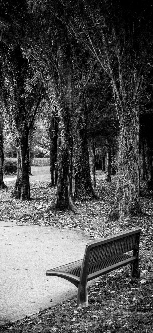 park, bench, leaves, autumn, black-and-white