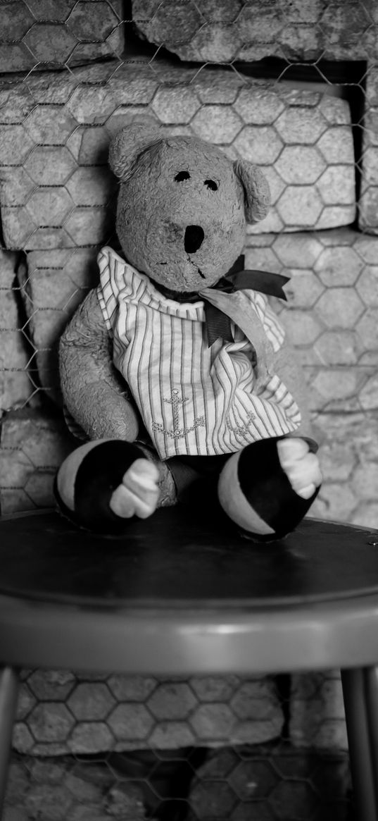 bear cub, toy, chair, mesh, black-and-white