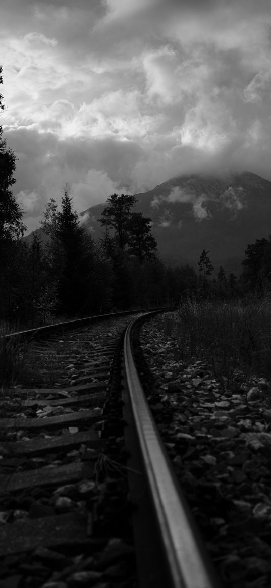 rails, turn, trees, mountains, landscape, black and white