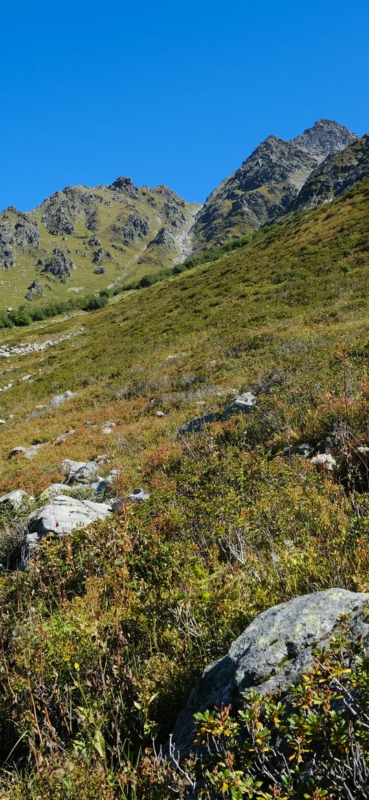 mountains, piedmont, grass, nature, landscape