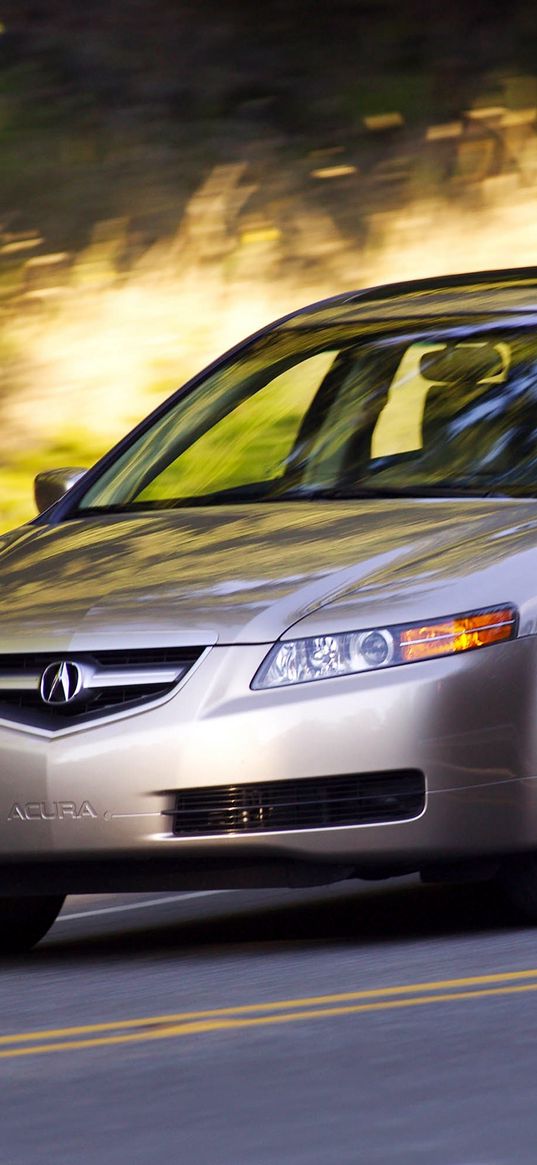 acura, tl, 2004, metallic gray, side view, style, cars, speed, nature