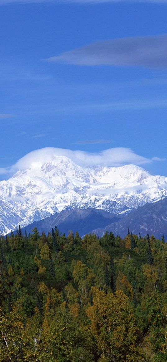 mountains, wood, trees, clouds, summer, snow, coniferous