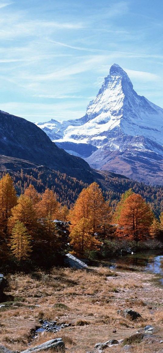 autumn, trees, row, coast, stones, peak