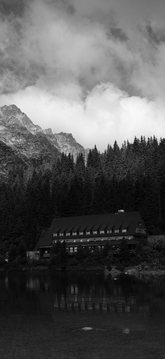 coast, house, mountains, trees, landscape, black-and-white