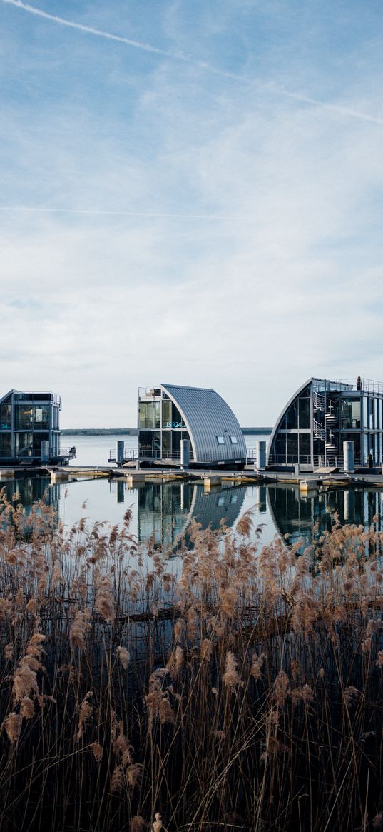 reeds, lake, pier, buildings