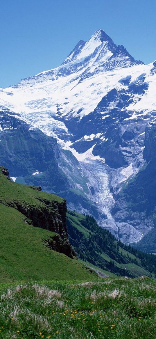 mountains, height, break, meadow, distance, greens