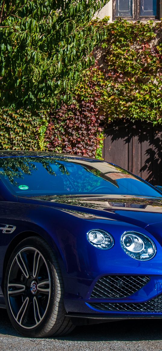 bentley continental, bentley, car, blue