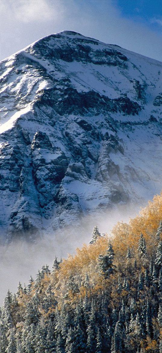 mountain, peak, trees, slope, fog, tops, autumn, day