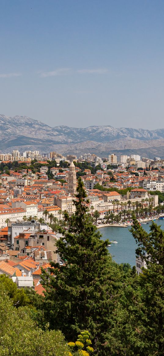 city, buildings, roofs, aerial view, architecture, trees