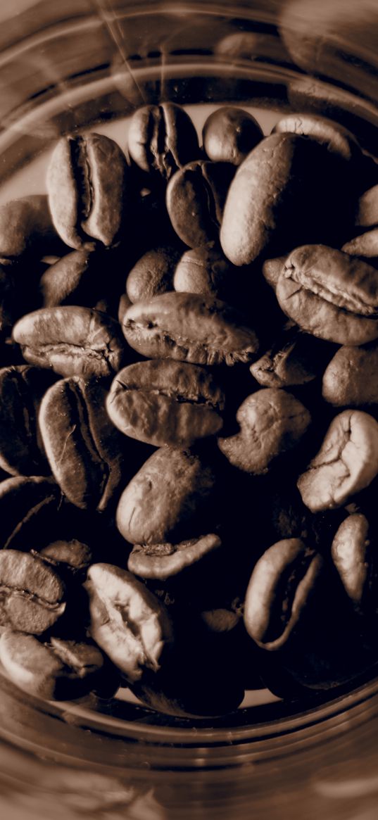 coffee beans, coffee, jar, brown, macro