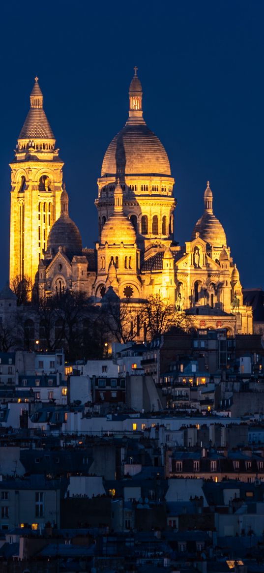 city, buildings, temple, domes, illumination, night, aerial view