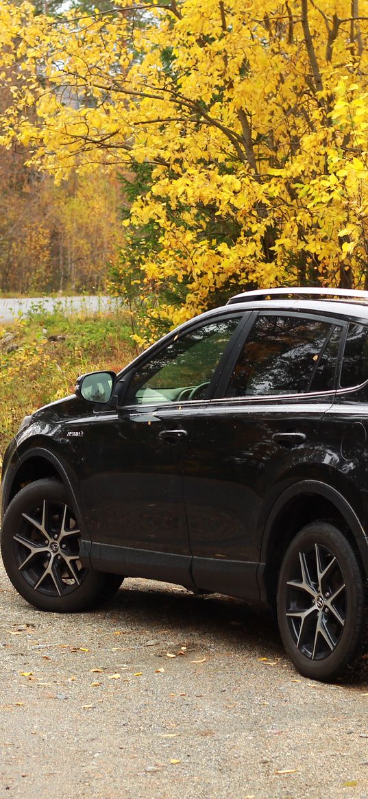 toyota, car, black, road, trees, autumn