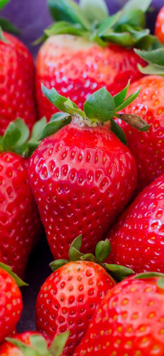 strawberry, berries, red, ripe, macro