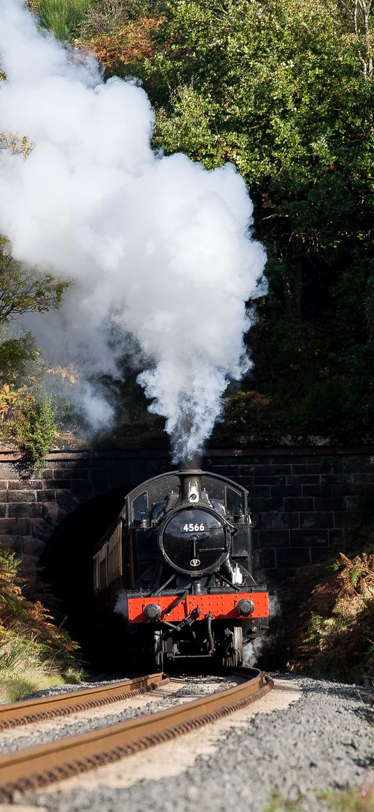 steam locomotive, locomotive, train, railroad, smoke