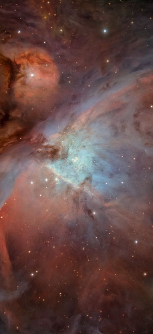 orion nebula, shine, stars, space