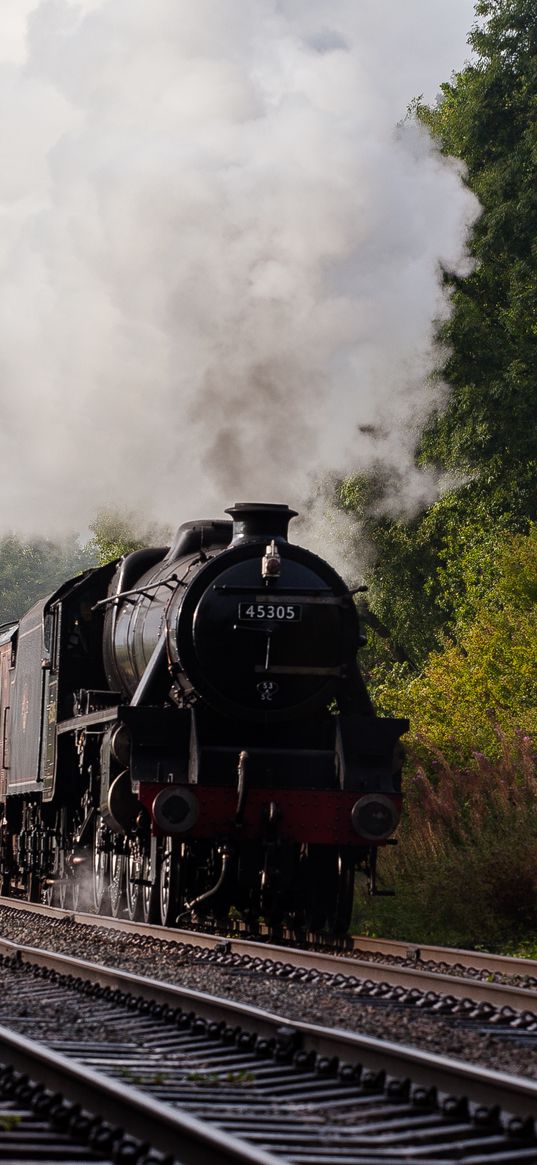 steam locomotive, locomotive, railway, trees