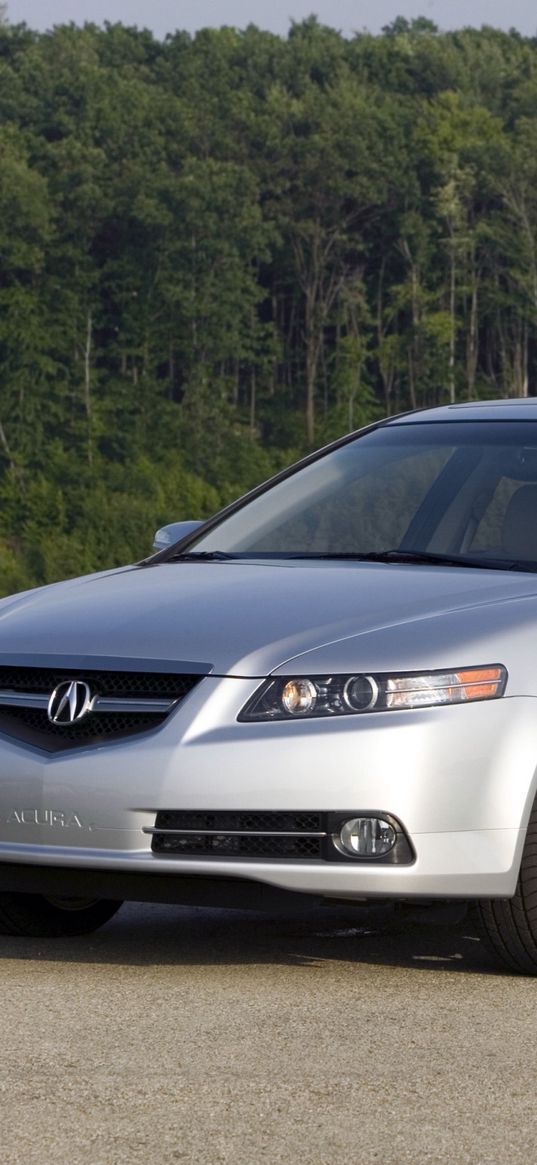 acura, tl, 2007, silver metallic, front view, style, cars, timber, shrubs, grass