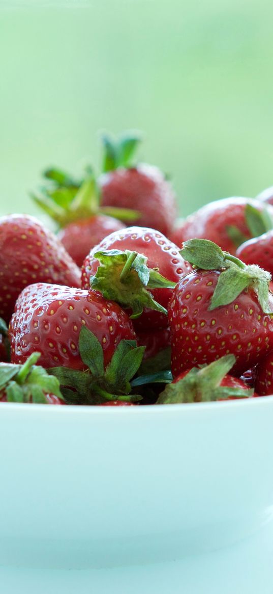 strawberries, berries, bowl, fresh