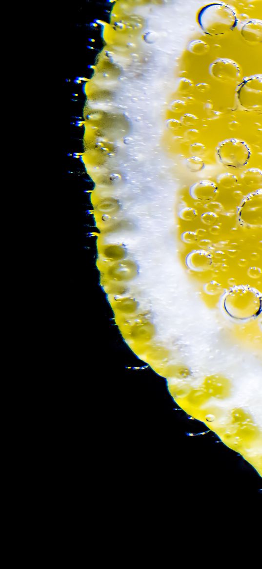 lemon, slice, bubbles, citrus, macro