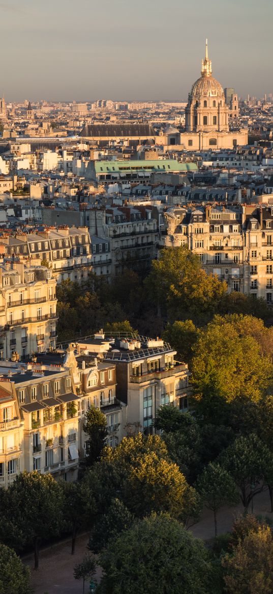 city, buildings, trees, cityscape, aerial view