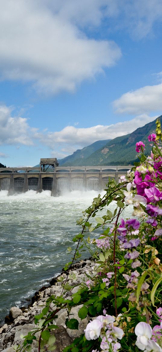 river, dam, mountains, flowers, landscape