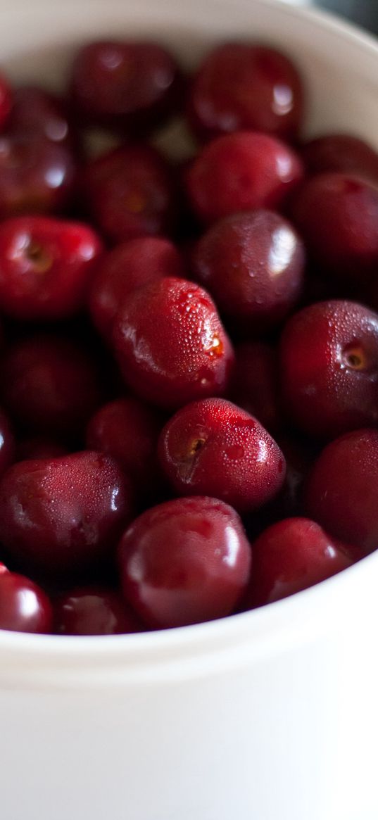 cherry, berries, bowl, red