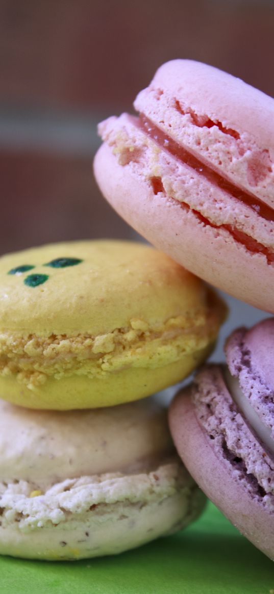 macarons, cookies, dessert, pastries