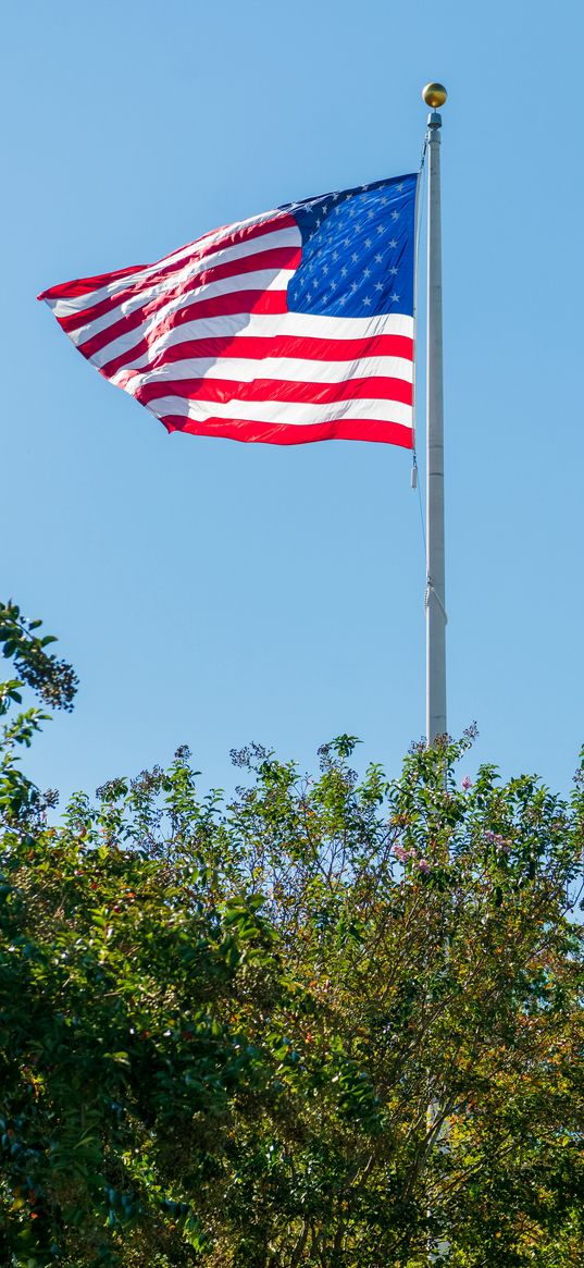 flag, usa, flagpole, trees