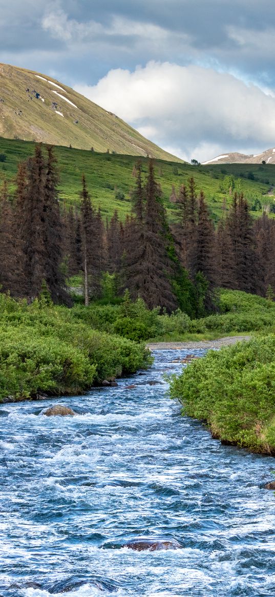 stream, mountains, trees, landscape, nature