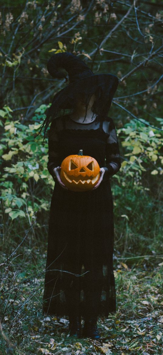 witch, hat, pumpkin, halloween, forest